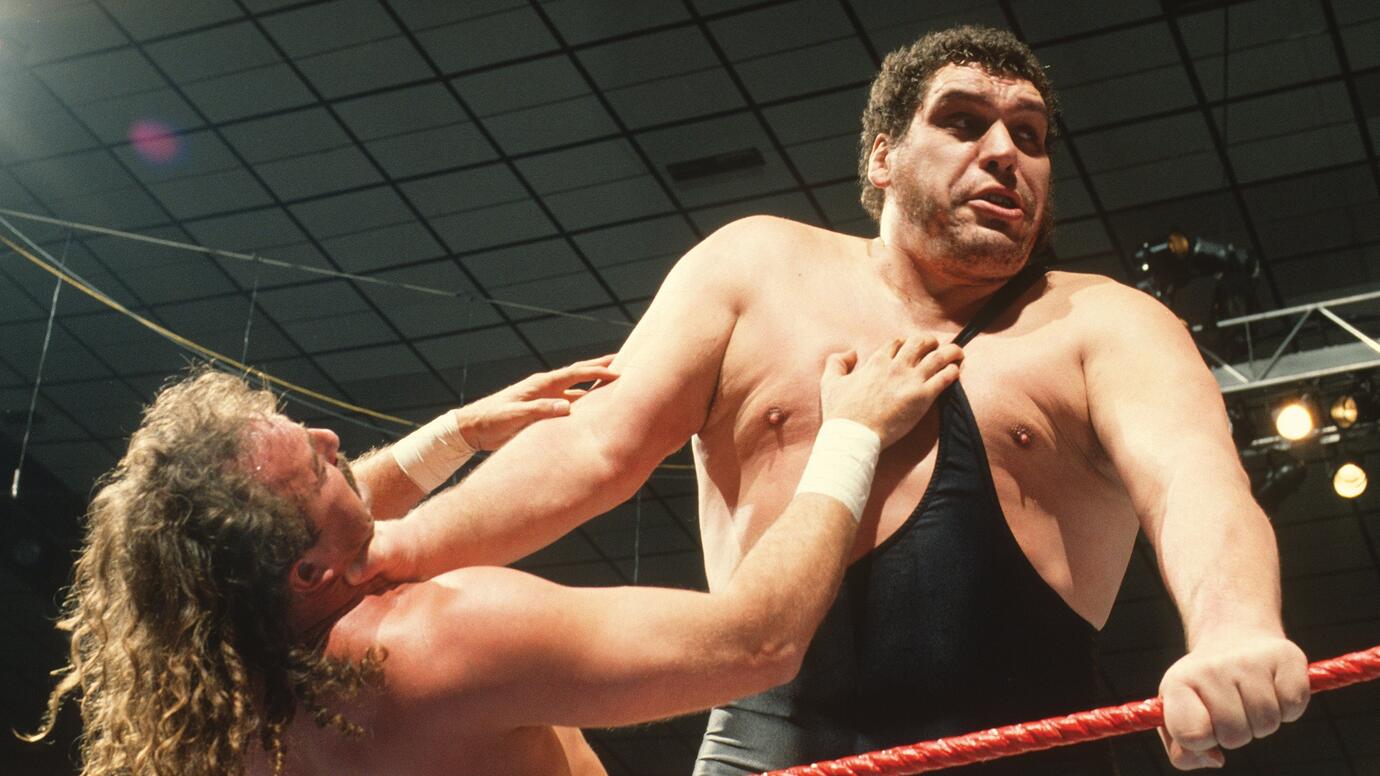 Andre the Giant WWE Photo
