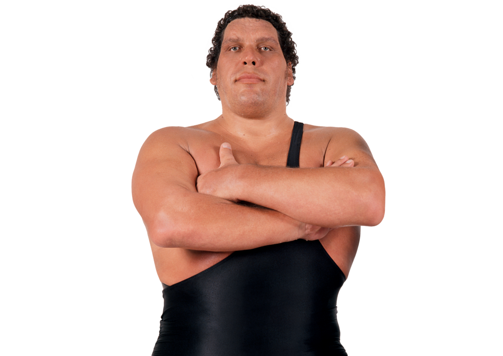 Andre the Giant WWE Photo