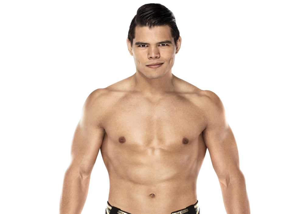 Berto WWE Photo